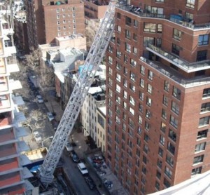 New York, Fallen Crane   March 15, 2008